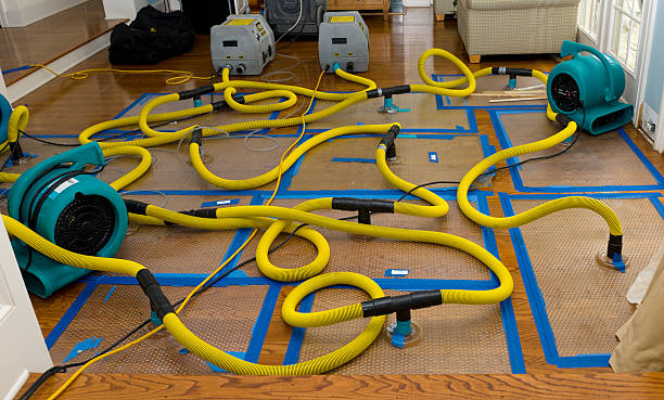 Professional Flood Damage Restoration technician working in Shelbyville, KY